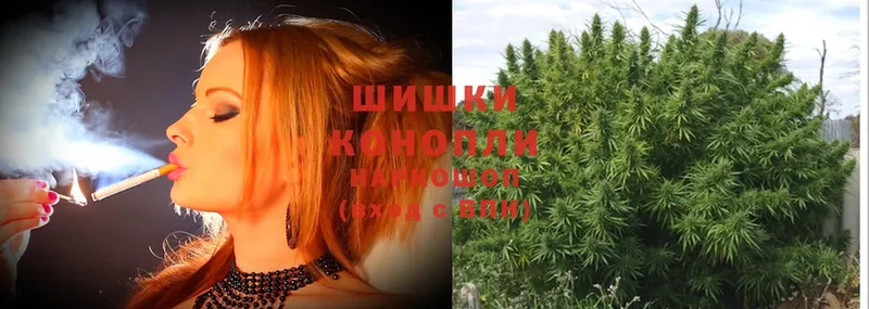 Бошки Шишки Ganja  наркота  Коломна 